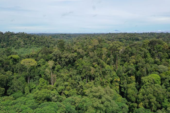 Environment