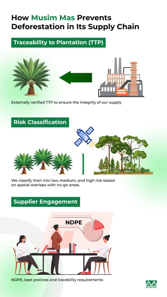 Palm Oil Deforestation