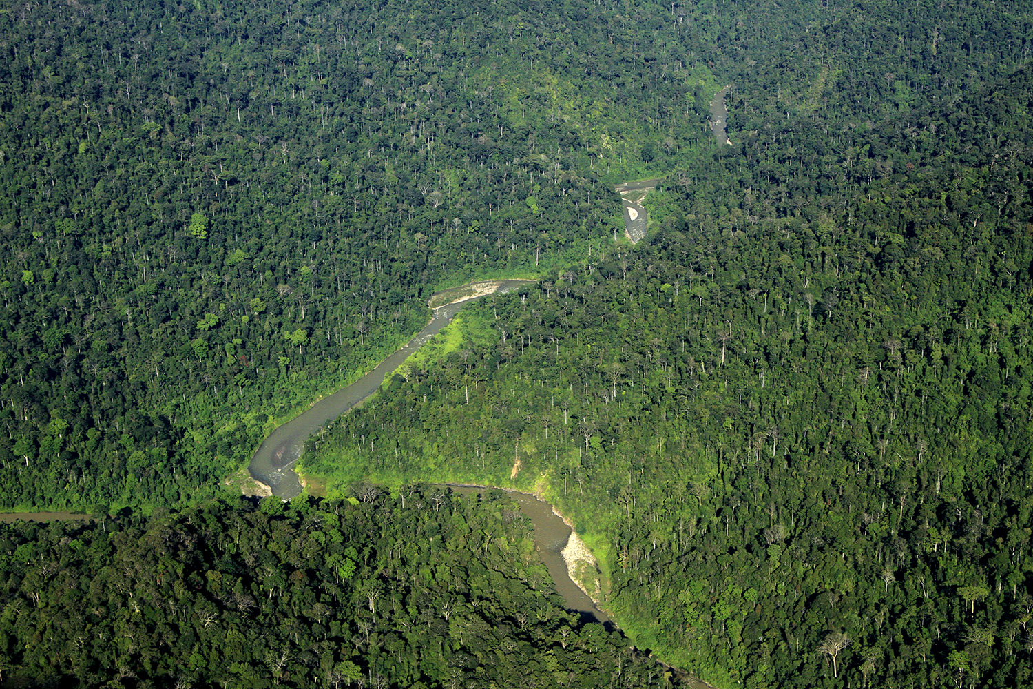 Taman_Nasional_Gunung_Leuser